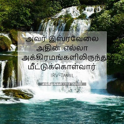 Picture 07 - சங்கீதங்கள் 130:8 TAMIRV - அவர் இஸ்ரவேலை - Bible Verse Picture