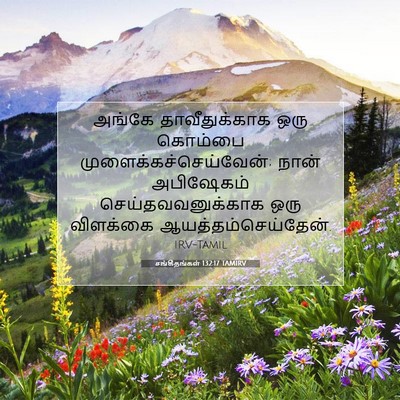 Picture 07 - சங்கீதங்கள் 132:17 TAMIRV - அங்கே தாவீதுக்காக - Bible Verse Picture