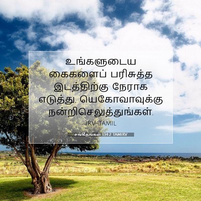 Picture 07 - சங்கீதங்கள் 134:2 TAMIRV - உங்களுடைய கைகளைப் - Bible Verse Picture