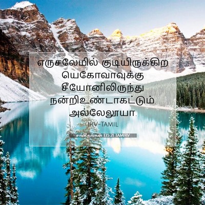 Picture 07 - சங்கீதங்கள் 135:21 TAMIRV - எருசலேமில் - Bible Verse Picture