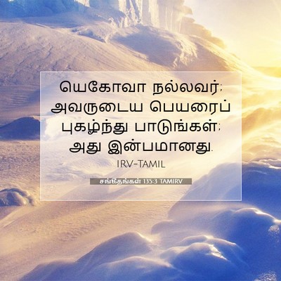 Picture 07 - சங்கீதங்கள் 135:3 TAMIRV - யெகோவா நல்லவர்; - Bible Verse Picture