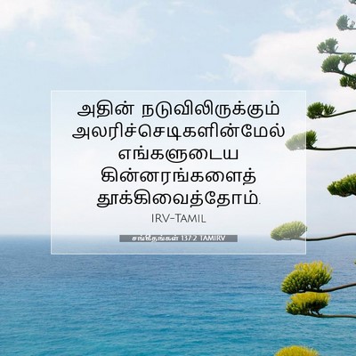 Picture 07 - சங்கீதங்கள் 137:2 TAMIRV - அதின் - Bible Verse Picture