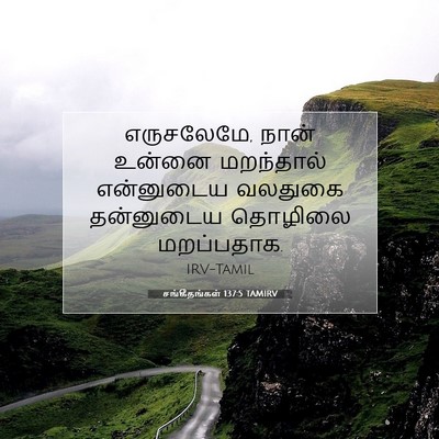 Picture 07 - சங்கீதங்கள் 137:5 TAMIRV - எருசலேமே, நான் - Bible Verse Picture