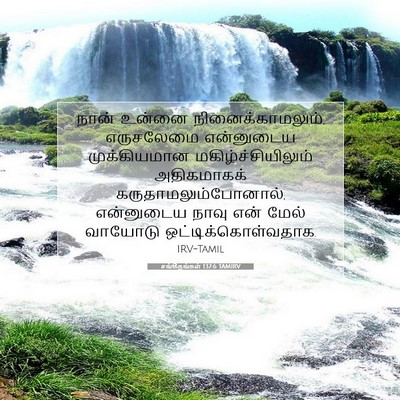 Picture 07 - சங்கீதங்கள் 137:6 TAMIRV - நான் உன்னை - Bible Verse Picture