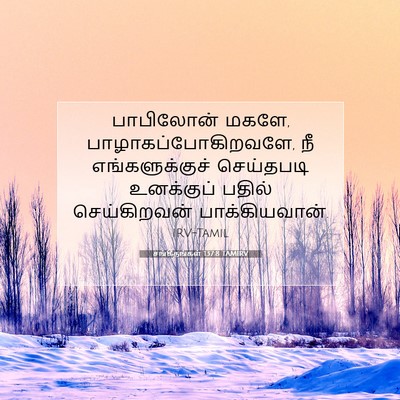 Picture 07 - சங்கீதங்கள் 137:8 TAMIRV - பாபிலோன் மகளே, - Bible Verse Picture