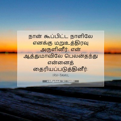Picture 07 - சங்கீதங்கள் 138:3 TAMIRV - நான் கூப்பிட்ட - Bible Verse Picture