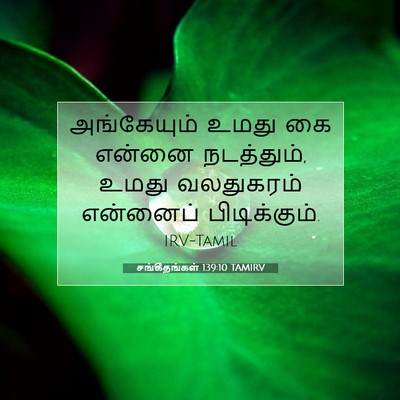 Picture 07 - சங்கீதங்கள் 139:10 TAMIRV - அங்கேயும் உமது கை - Bible Verse Picture