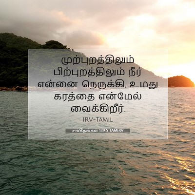 Picture 07 - சங்கீதங்கள் 139:5 TAMIRV - முற்புறத்திலும் - Bible Verse Picture