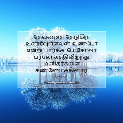 Picture 07 - சங்கீதங்கள் 14:2 TAMIRV - தேவனைத் தேடுகிற - Bible Verse Picture