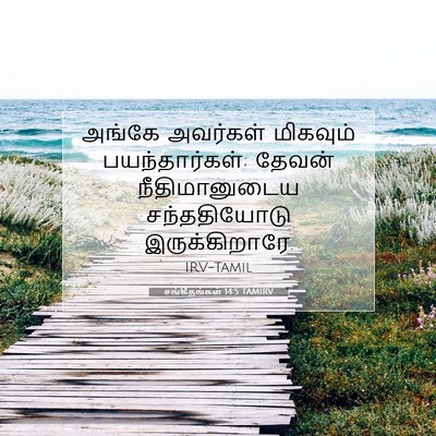 Picture 07 - சங்கீதங்கள் 14:5 TAMIRV - அங்கே அவர்கள் - Bible Verse Picture