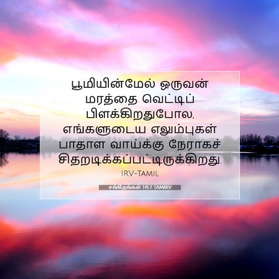 Picture 07 - சங்கீதங்கள் 141:7 TAMIRV - பூமியின்மேல் - Bible Verse Picture
