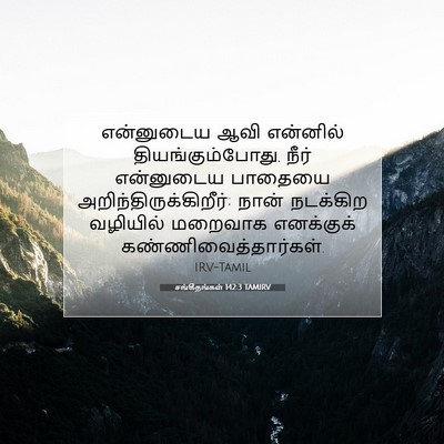 Picture 07 - சங்கீதங்கள் 142:3 TAMIRV - என்னுடைய ஆவி - Bible Verse Picture