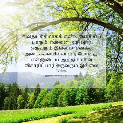 Picture 07 - சங்கீதங்கள் 142:4 TAMIRV - வலதுபக்கமாகக் - Bible Verse Picture