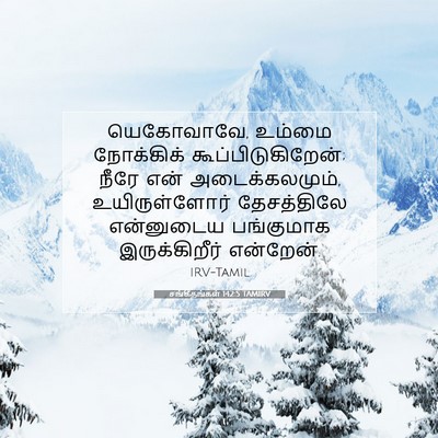 Picture 07 - சங்கீதங்கள் 142:5 TAMIRV - யெகோவாவே, உம்மை - Bible Verse Picture