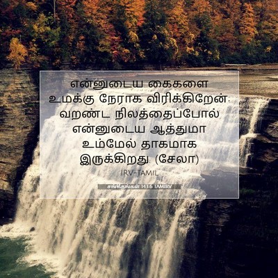 Picture 07 - சங்கீதங்கள் 143:6 TAMIRV - என்னுடைய கைகளை - Bible Verse Picture