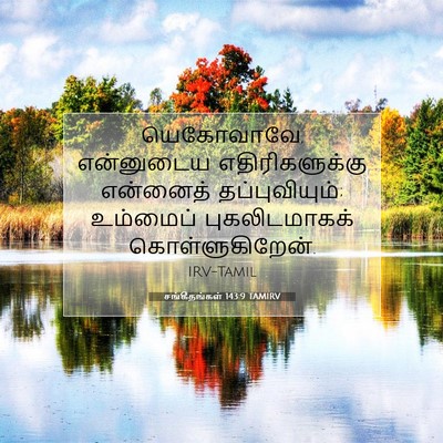 Picture 07 - சங்கீதங்கள் 143:9 TAMIRV - யெகோவாவே, - Bible Verse Picture