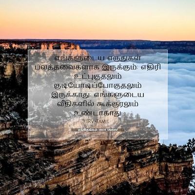 Picture 07 - சங்கீதங்கள் 144:14 TAMIRV - எங்களுடைய - Bible Verse Picture