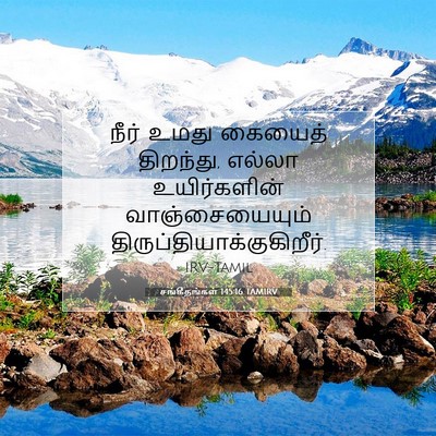 Picture 07 - சங்கீதங்கள் 145:16 TAMIRV - நீர் உமது கையைத் - Bible Verse Picture