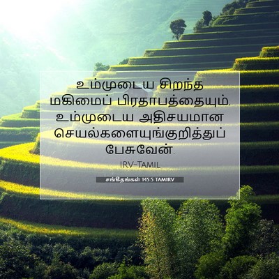 Picture 07 - சங்கீதங்கள் 145:5 TAMIRV - உம்முடைய சிறந்த - Bible Verse Picture