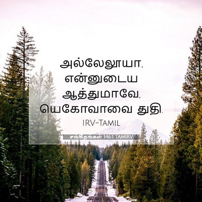 Picture 07 - சங்கீதங்கள் 146:1 TAMIRV - அல்லேலூயா, - Bible Verse Picture