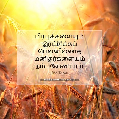 Picture 07 - சங்கீதங்கள் 146:3 TAMIRV - பிரபுக்களையும், - Bible Verse Picture