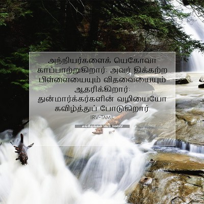 Picture 07 - சங்கீதங்கள் 146:9 TAMIRV - அந்நியர்களைக் - Bible Verse Picture