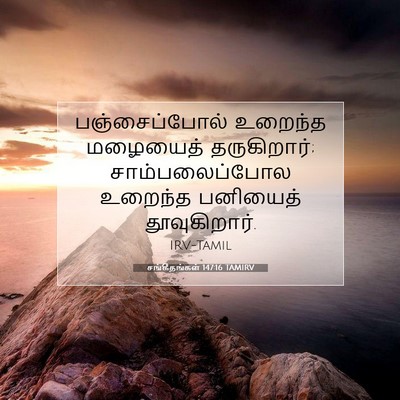 Picture 07 - சங்கீதங்கள் 147:16 TAMIRV - பஞ்சைப்போல் - Bible Verse Picture