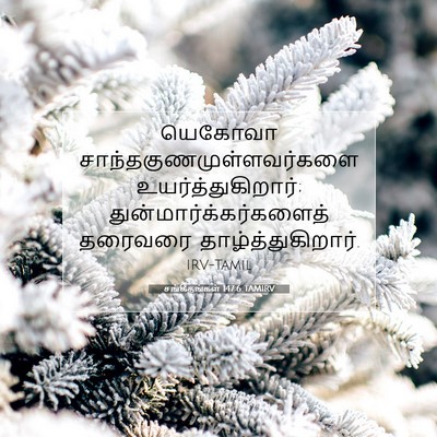 Picture 07 - சங்கீதங்கள் 147:6 TAMIRV - யெகோவா - Bible Verse Picture