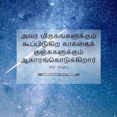 Picture 07 - சங்கீதங்கள் 147:9 TAMIRV - அவர் - Bible Verse Picture