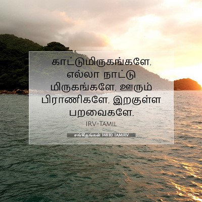 Picture 07 - சங்கீதங்கள் 148:10 TAMIRV - காட்டுமிருகங்களே, - Bible Verse Picture