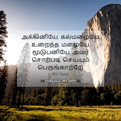 Picture 07 - சங்கீதங்கள் 148:8 TAMIRV - அக்கினியே, - Bible Verse Picture