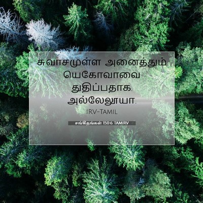 Picture 07 - சங்கீதங்கள் 150:6 TAMIRV - சுவாசமுள்ள - Bible Verse Picture