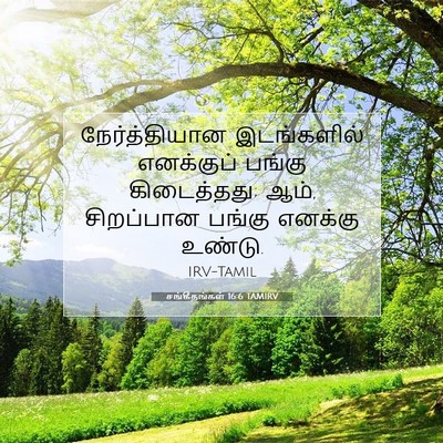Picture 07 - சங்கீதங்கள் 16:6 TAMIRV - நேர்த்தியான - Bible Verse Picture