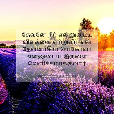 Picture 07 - சங்கீதங்கள் 18:28 TAMIRV - தேவனே நீர் - Bible Verse Picture