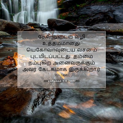 Picture 07 - சங்கீதங்கள் 18:30 TAMIRV - தேவனுடைய வழி - Bible Verse Picture