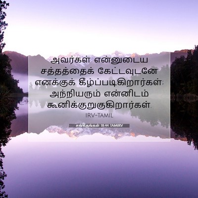 Picture 07 - சங்கீதங்கள் 18:44 TAMIRV - அவர்கள் என்னுடைய - Bible Verse Picture