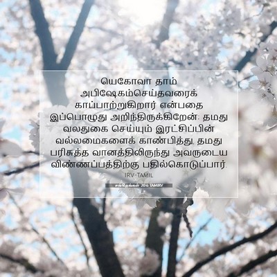 Picture 07 - சங்கீதங்கள் 20:6 TAMIRV - யெகோவா தாம் - Bible Verse Picture