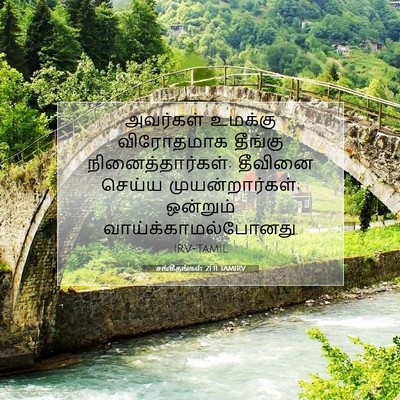 Picture 07 - சங்கீதங்கள் 21:11 TAMIRV - அவர்கள் உமக்கு - Bible Verse Picture