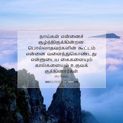 Picture 07 - சங்கீதங்கள் 22:16 TAMIRV - நாய்கள் என்னைச் - Bible Verse Picture