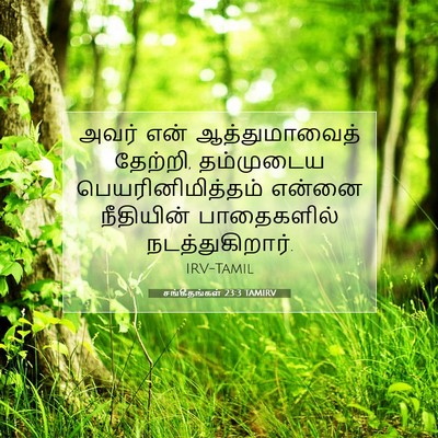 Picture 07 - சங்கீதங்கள் 23:3 TAMIRV - அவர் என் - Bible Verse Picture