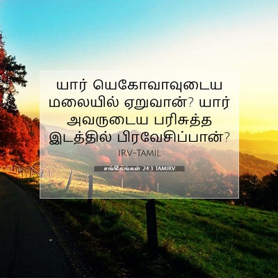 Picture 07 - சங்கீதங்கள் 24:3 TAMIRV - யார் யெகோவாவுடைய - Bible Verse Picture