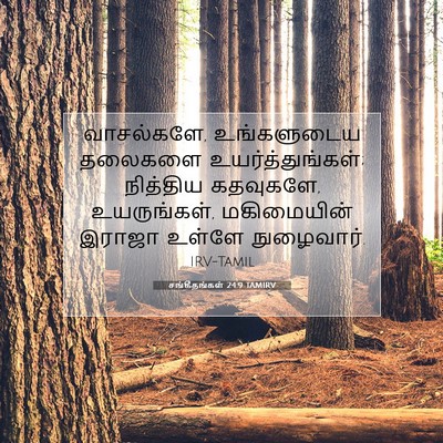 Picture 07 - சங்கீதங்கள் 24:9 TAMIRV - வாசல்களே, - Bible Verse Picture
