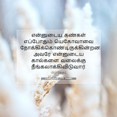 Picture 07 - சங்கீதங்கள் 25:15 TAMIRV - என்னுடைய கண்கள் - Bible Verse Picture
