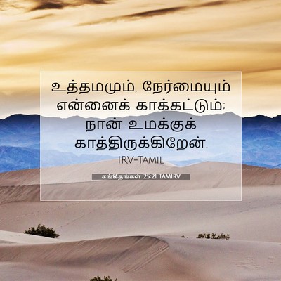 Picture 07 - சங்கீதங்கள் 25:21 TAMIRV - உத்தமமும், - Bible Verse Picture