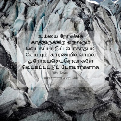 Picture 07 - சங்கீதங்கள் 25:3 TAMIRV - உம்மை நோக்கிக் - Bible Verse Picture