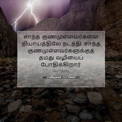 Picture 07 - சங்கீதங்கள் 25:9 TAMIRV - சாந்த - Bible Verse Picture