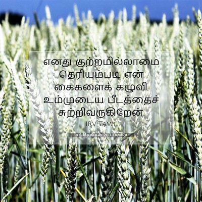 Picture 07 - சங்கீதங்கள் 26:7 TAMIRV - எனது - Bible Verse Picture