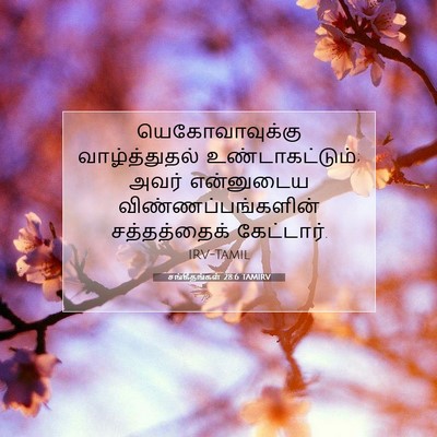 Picture 07 - சங்கீதங்கள் 28:6 TAMIRV - யெகோவாவுக்கு - Bible Verse Picture