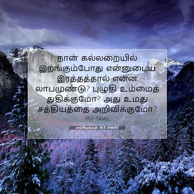 Picture 07 - சங்கீதங்கள் 30:8 TAMIRV - நான் கல்லறையில் - Bible Verse Picture