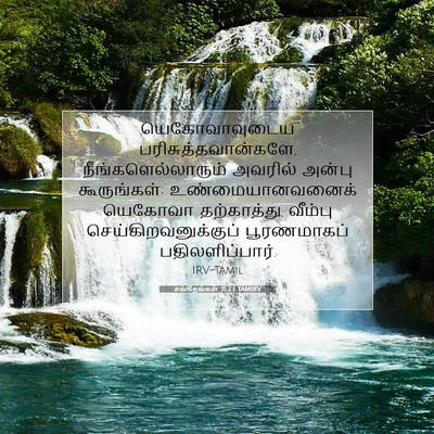 Picture 07 - சங்கீதங்கள் 31:23 TAMIRV - யெகோவாவுடைய - Bible Verse Picture
